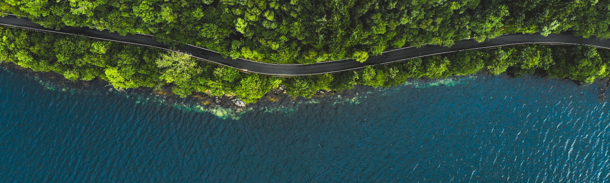 ethical banner